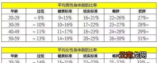 体脂率怎么计算