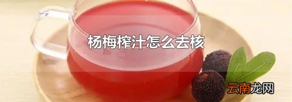 杨梅榨汁怎么去核