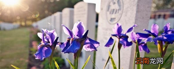 意外死亡有哪些 意外死亡有哪些情况