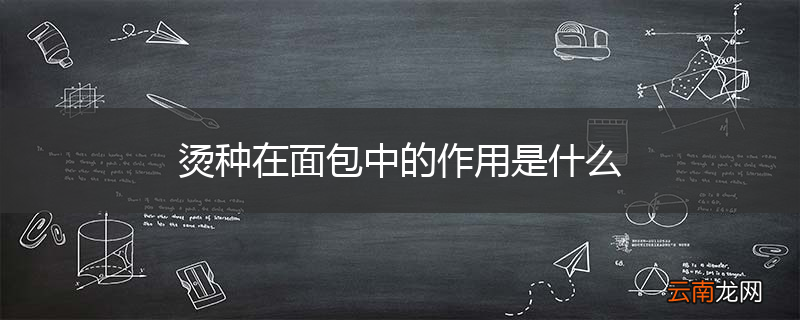 烫种在面包中的作用是什么