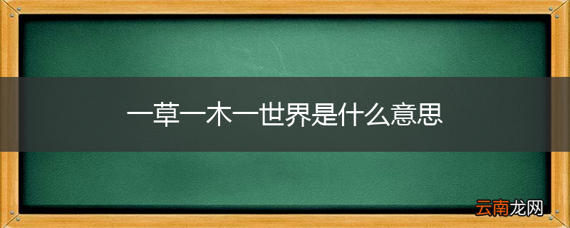 一草一木一世界是什么意思