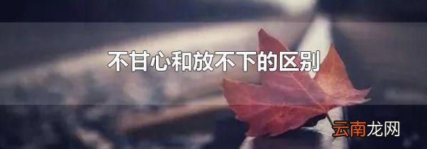 不甘心和放不下的区别