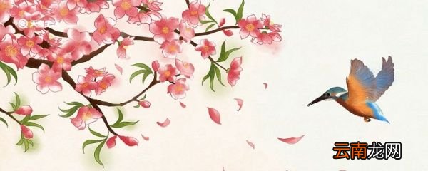 村居表达了儿童什么之情 村居表达了诗人对什么的热爱
