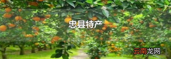 忠县特产