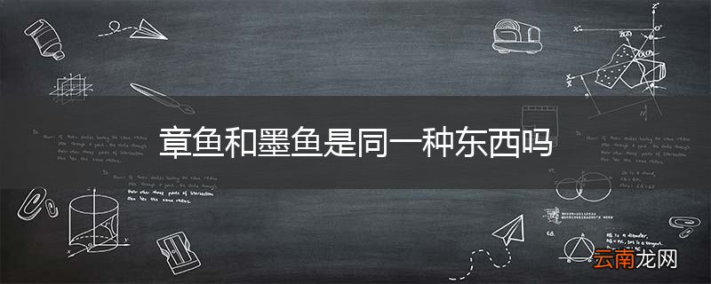 章鱼和墨鱼是同一种东西吗
