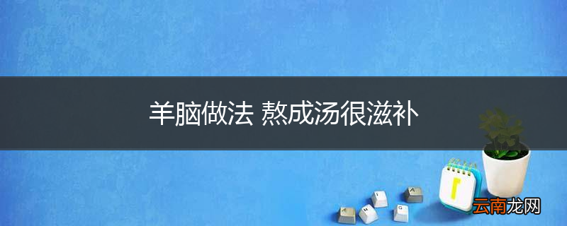 羊脑做法 熬成汤很滋补