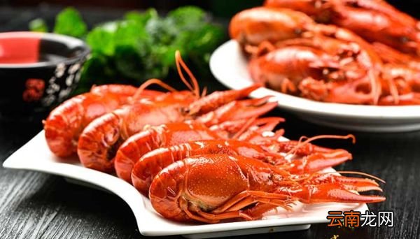 龙虾是不是海鲜类 龙虾属于海鲜还是河鲜