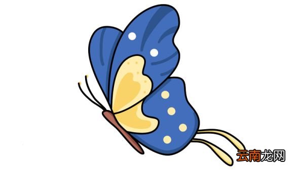 蝴蝶简笔画 蝴蝶简笔画怎么画