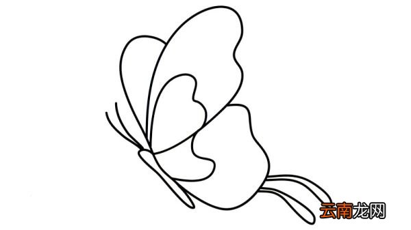 蝴蝶简笔画 蝴蝶简笔画怎么画