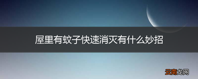 屋里有蚊子快速消灭有什么妙招