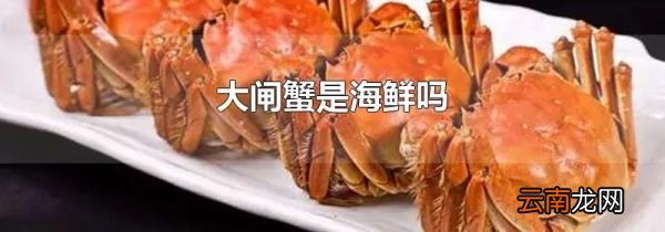 大闸蟹是海鲜吗