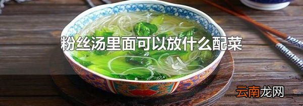 粉丝汤里面可以放什么配菜