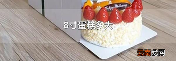 8寸蛋糕多大