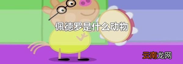 佩德罗是什么动物
