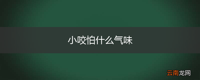 小咬怕什么气味