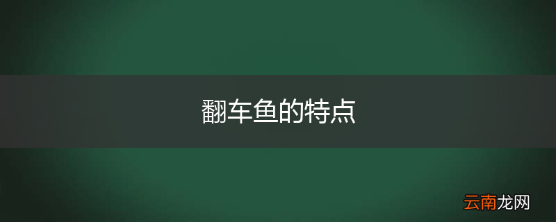 翻车鱼的特点