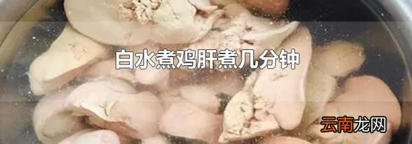 白水煮鸡肝煮几分钟