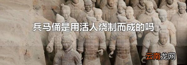 兵马俑是用活人烧制而成的吗