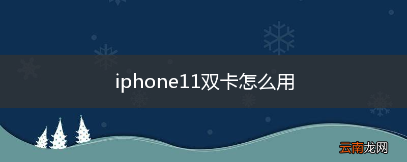 iphone11双卡怎么用
