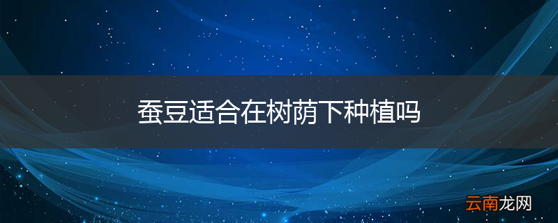 蚕豆适合在树荫下种植吗