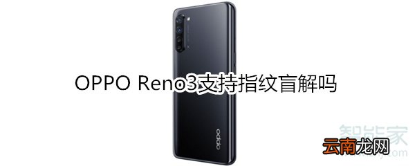 OPPO Reno3支持指纹盲解吗