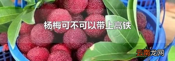 杨梅可不可以带上高铁