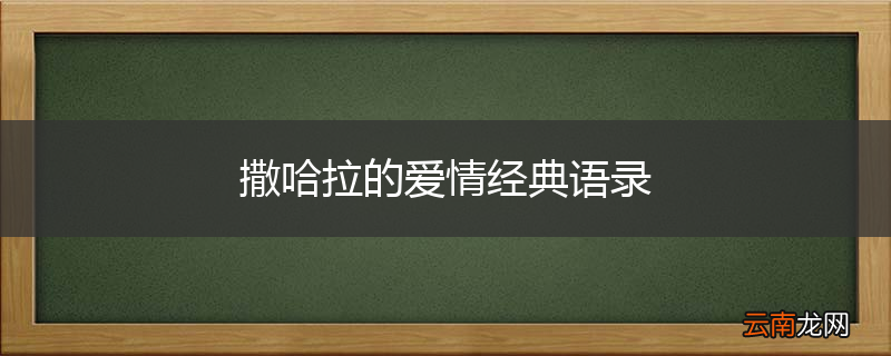 撒哈拉的爱情经典语录
