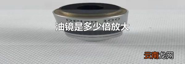 油镜是多少倍放大
