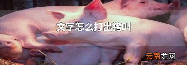 文字怎么打出猪叫