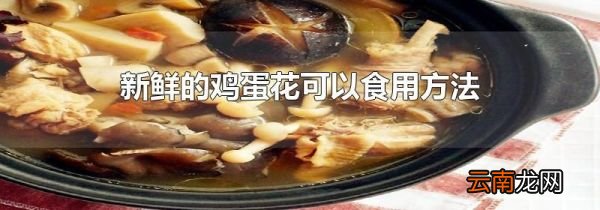 新鲜的鸡蛋花可以食用方法