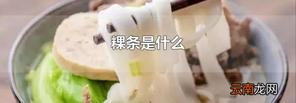 粿条是什么