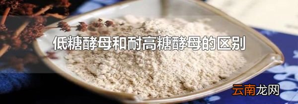 低糖酵母和耐高糖酵母的区别