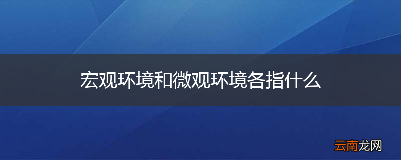 宏观环境和微观环境各指什么