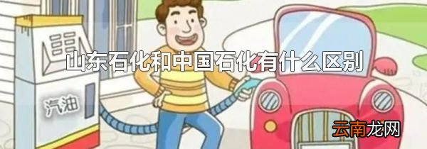 山东石化和中国石化有什么区别
