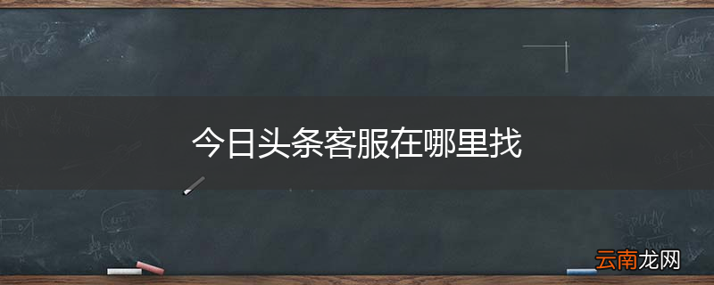 今日头条客服在哪里找