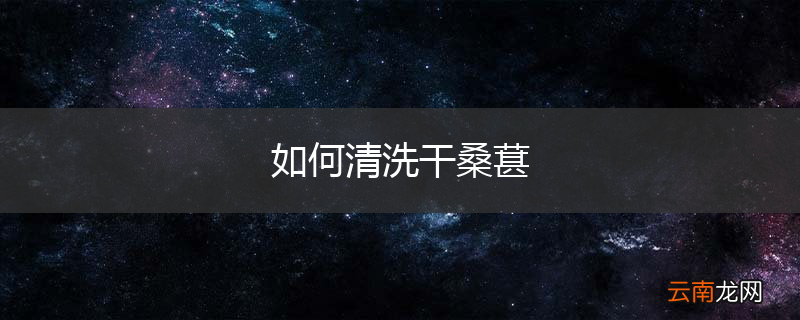 如何清洗干桑葚