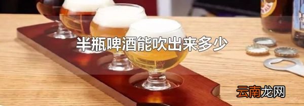 半瓶啤酒能吹出来多少