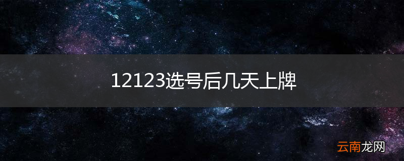 12123选号后几天上牌