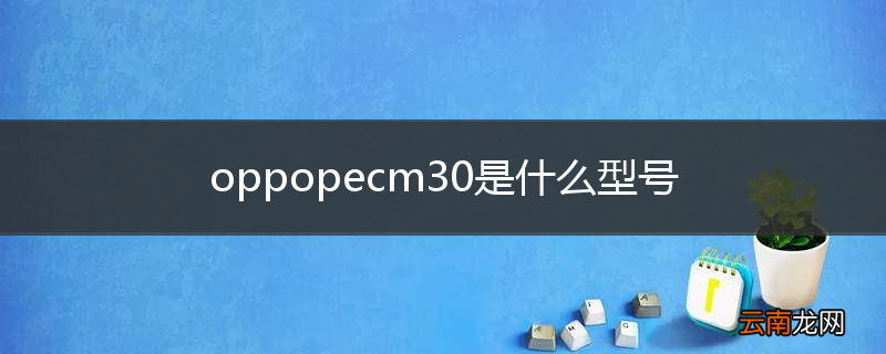 oppopecm30是什么型号