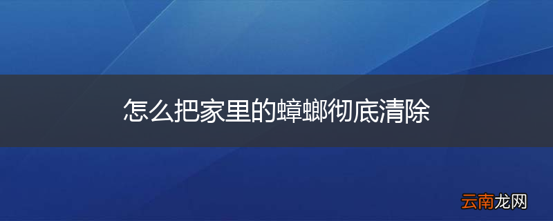 怎么把家里的蟑螂彻底清除