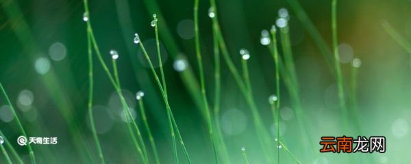 白露节气特点有哪些 白露节气特点都有哪些