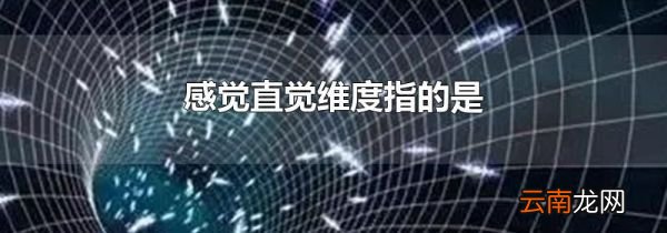 感觉直觉维度指的是