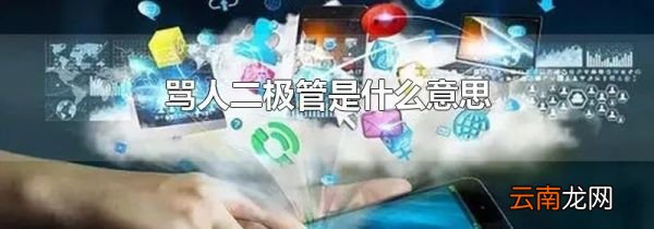 骂人二极管是什么意思