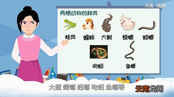 两栖动物有哪些 两栖动物有什么特征