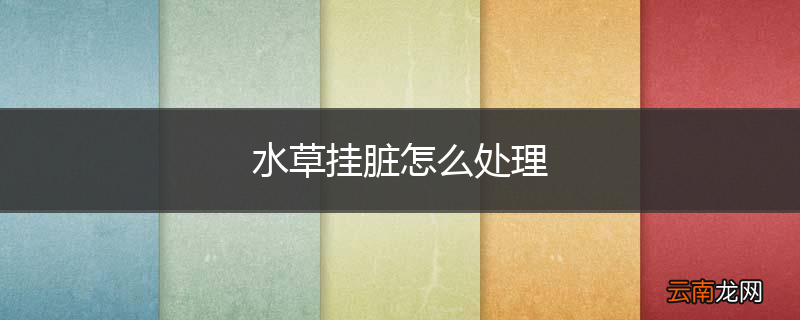 水草挂脏怎么处理