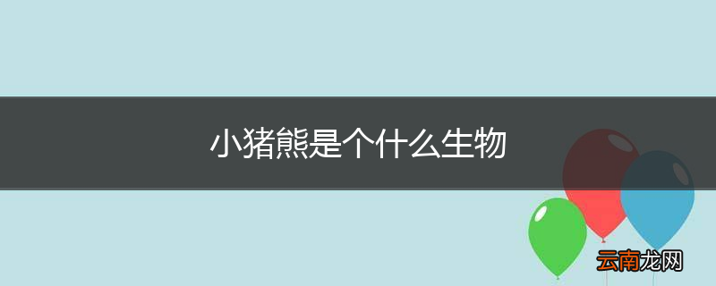 小猪熊是个什么生物