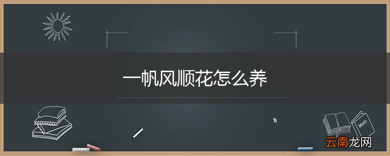 一帆风顺花怎么养