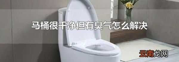马桶很干净但有臭气怎么解决