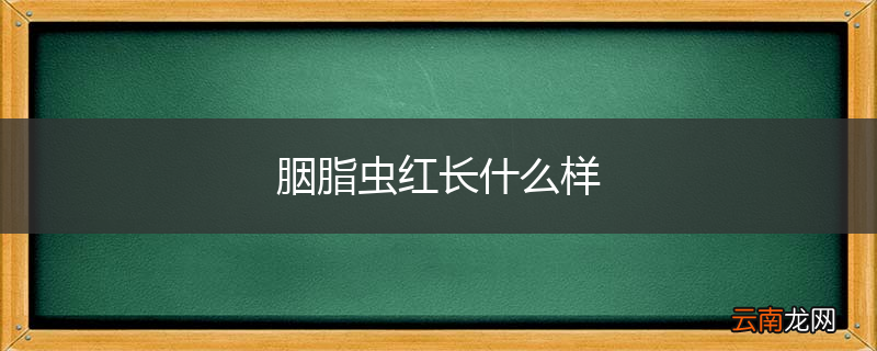胭脂虫红长什么样