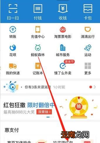 用支付宝缴纳电费，如何查询每月电费账单